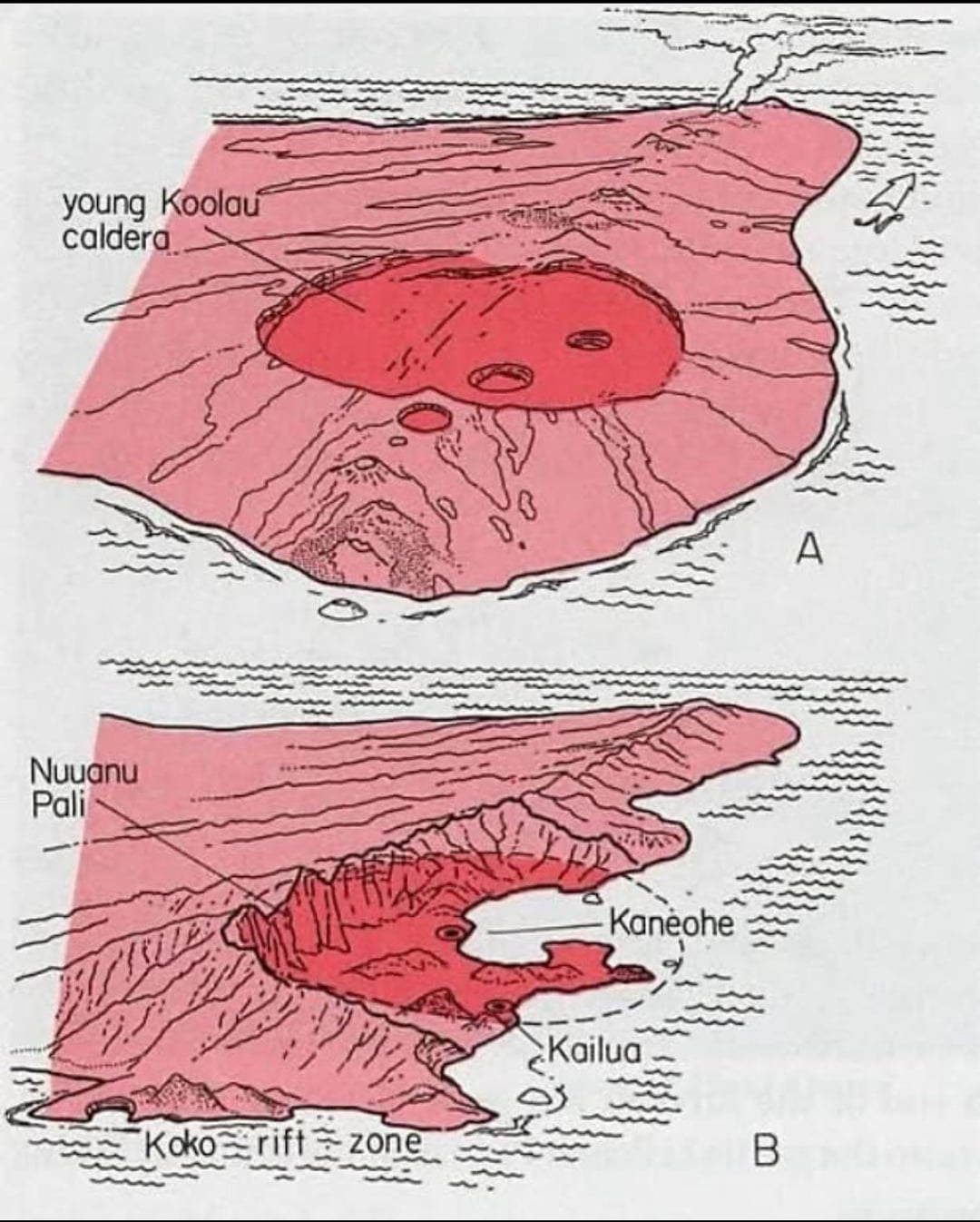 Diagram of the Nuʻuanu debris avalanche